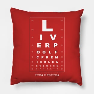 LFC Premier League winners - seeing is believing! Pillow