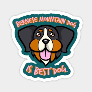 Bernese Mountain Dog Is Best Dog Magnet