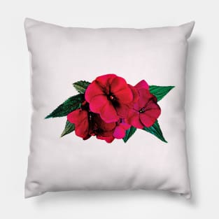 Magenta Impatiens Pillow