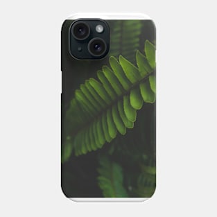 Green leafed plant photo Phone Case