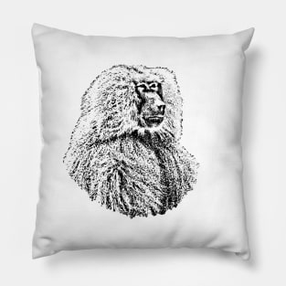 Baboon Pillow