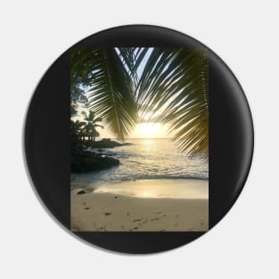 Seychelles mahe island beach palm trees paradise print Pin