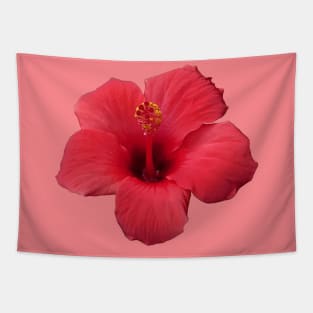 Stunning Red Hibiscus Tropical Flower Cut Out Tapestry