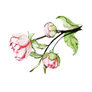 peony flowers.  watercolor T-Shirt