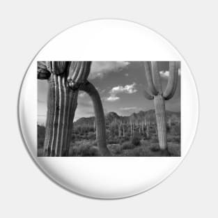 Saguaro Cacti Tucson Mountains Pin