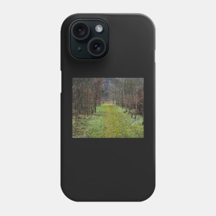 Forest path Phone Case