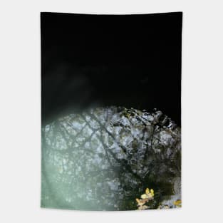 Sky and Tree Reflection in the Deep Well Water. Nature Deep Within. Tapestry