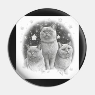 British Shorthair Kittens Pin