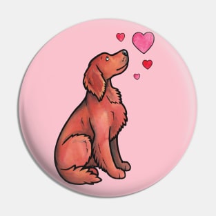 Irish setter love Pin