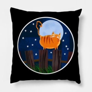 Stargazer Pillow