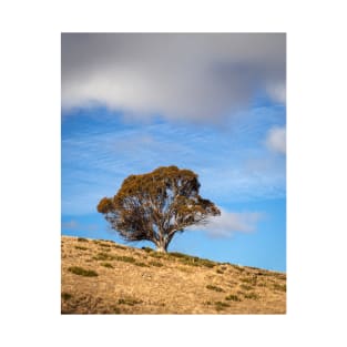 Tree And Clouds T-Shirt