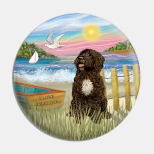 At the Shore with a Brown Portuguese Water Dog with a White Bib Pin