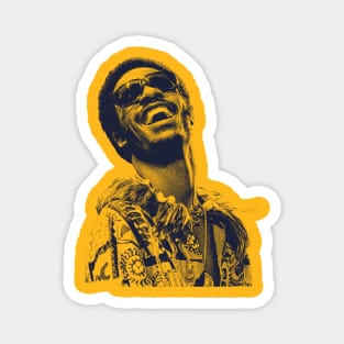 Stevie Wonder Magnet