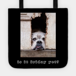 Is it Friday yet? Tote