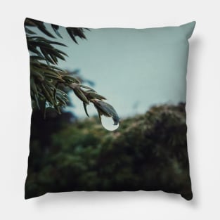 raindrops on coniferous bush Pillow