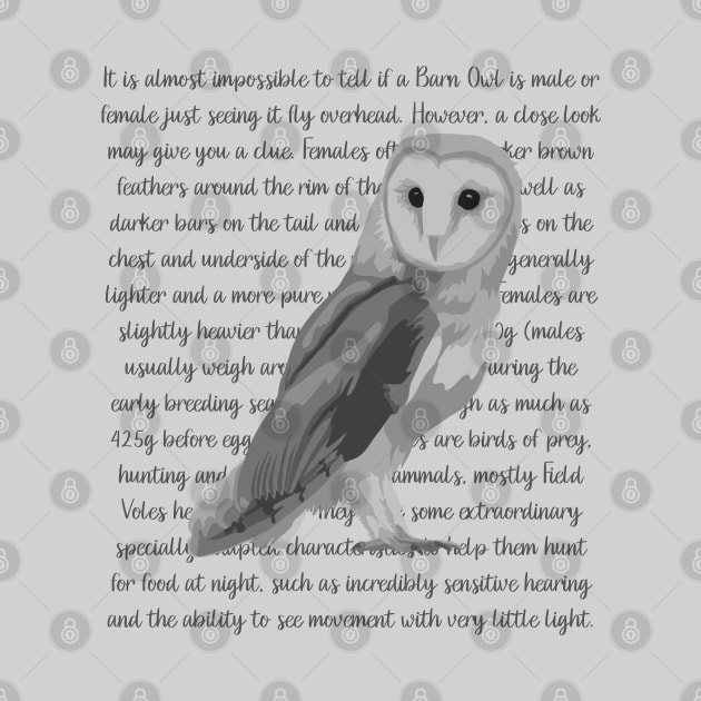 Barn Owl Information by Slightly Unhinged