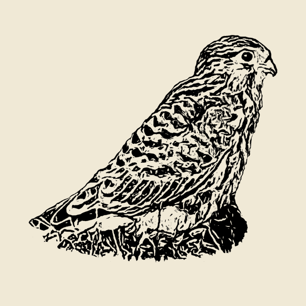 Kestrel by Guardi