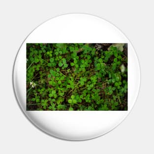 More Clovers! Pin