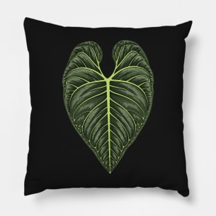 Anthurium Regale Big Leaf Pillow