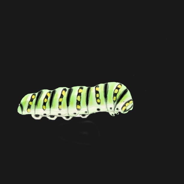 Caterpillar by melissamiddle