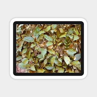 Garden Leaves Magnet