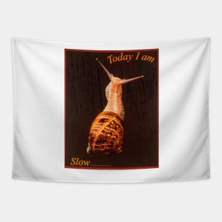 Slow snail Tapestry