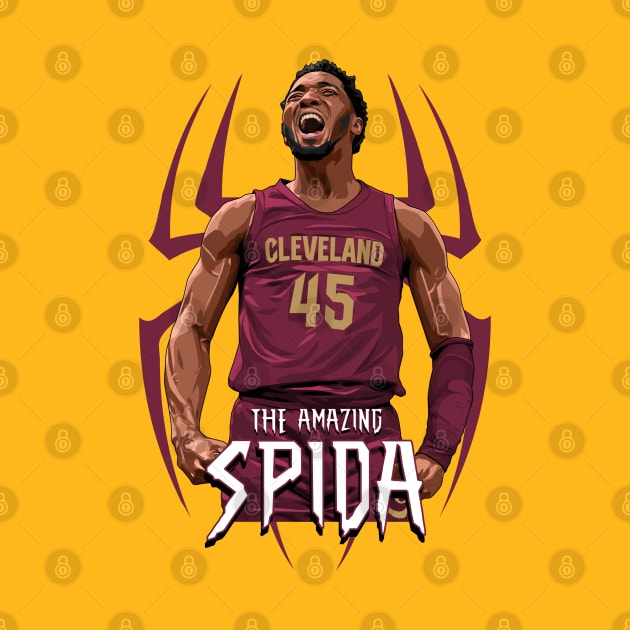 SPIDA by origin illustrations