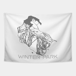 Winter Park Resort 3D Tapestry