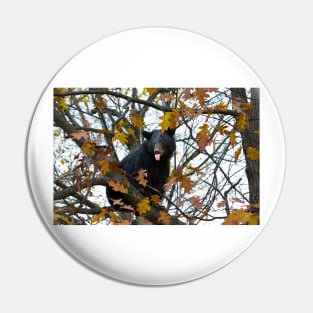 Bear in Tree Pin