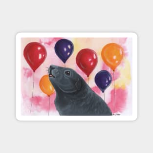 Grey Guinea Pig and Balloons Magnet