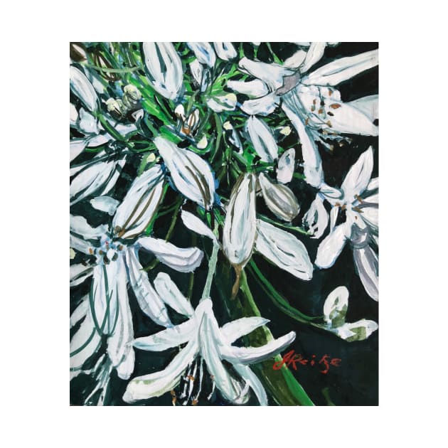 Agapanthus, Star of Bethlehem by joreitzeartist