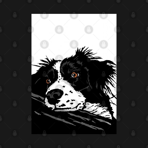 Colin the Collie Dog by NattyDesigns