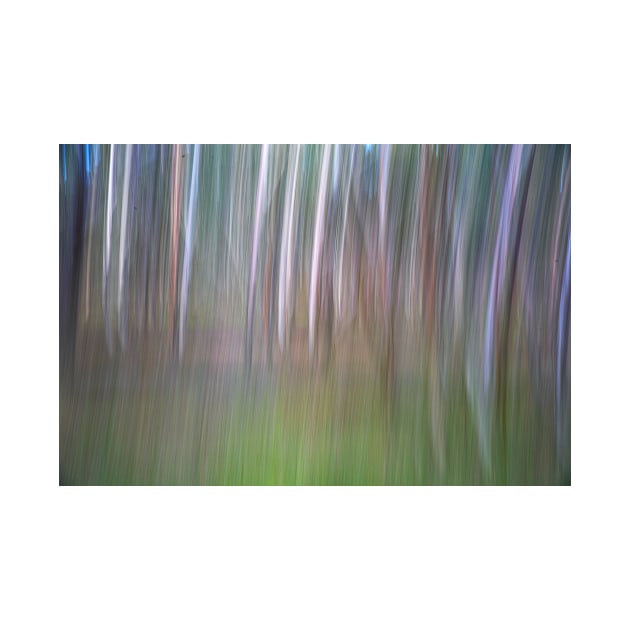 Abstract forest by Bevlyn