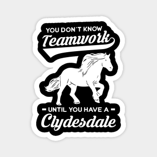 You Don't Know Teamwork Until You Have Clydesdale Magnet