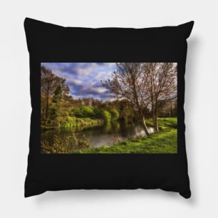 The River Kennet At Burghfield Pillow