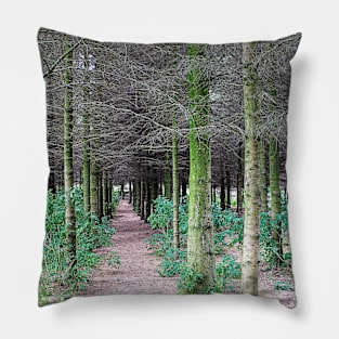 The path through the trees Pillow