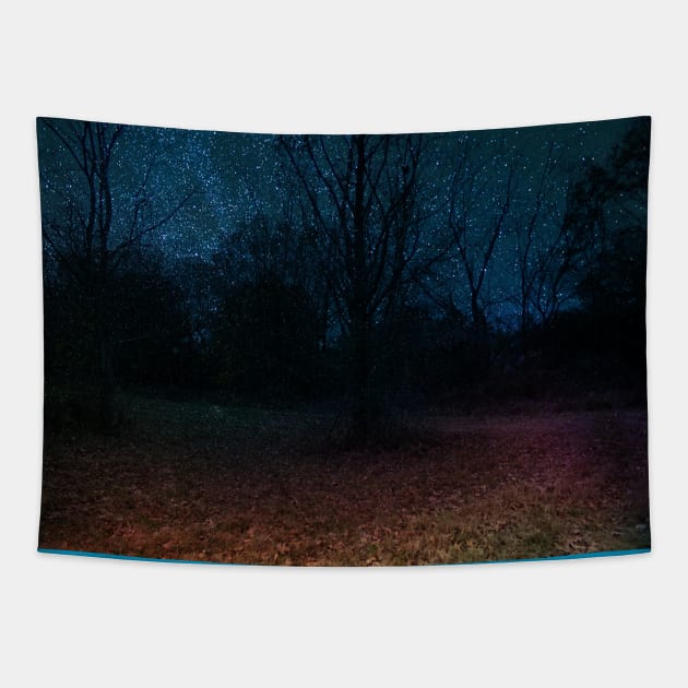 Mystical sparkly night Tapestry by PandLCreations