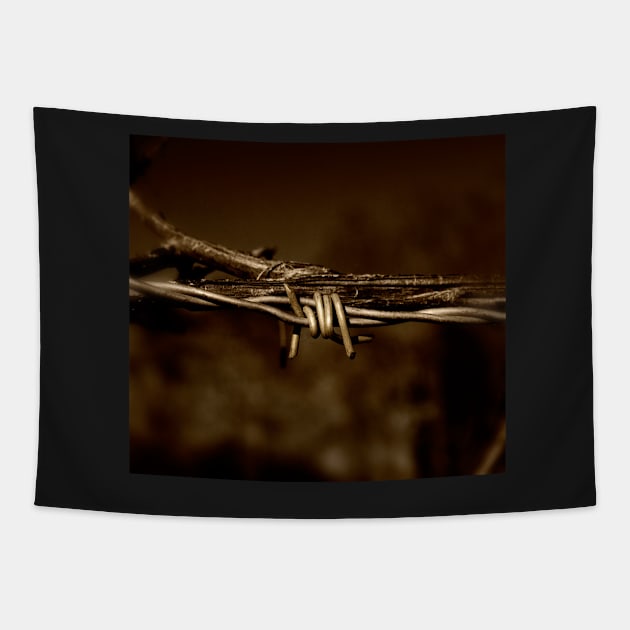 Barbed Wire Tapestry by Nigdaw