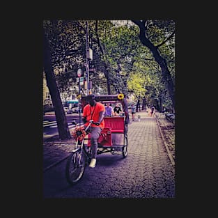 Central Park Manhattan NYC T-Shirt