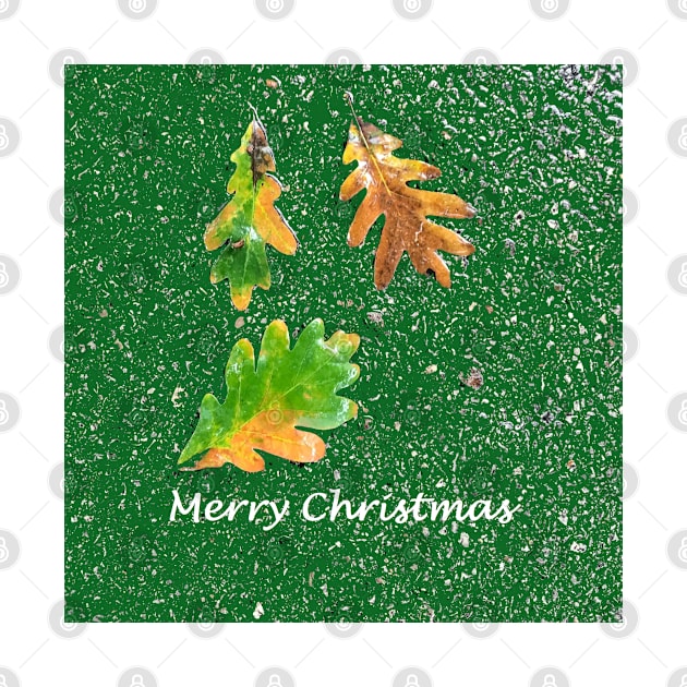 Merry Christmas: Leaves on Green Background by djrunnels