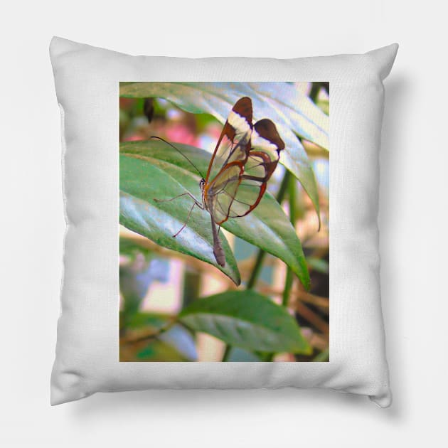 Glass Wings Pillow by MAMMAJAMMA