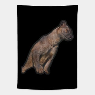 Fossa Tapestry