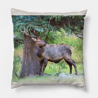 Elk in the Rain Pillow