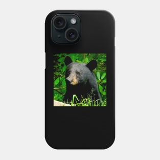 Blue Ridge Mountains Wild Black Bear Phone Case