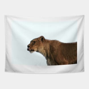 Lioness Tapestry