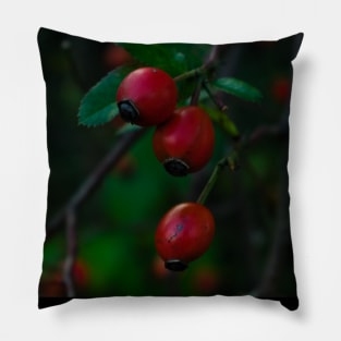 Rose hip Pillow