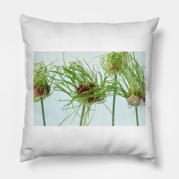 Allium vineale  'Hair' Pillow by chrisburrows