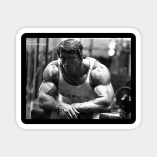 Arnold Schwarzenegger - gatimeta #980 Magnet