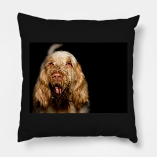 Dirty, filthy, happy Spinone Pillow