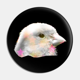 Canary Disco Pin